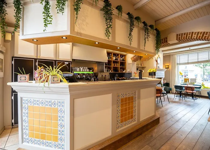 De Zonnetuin 4* De Haan