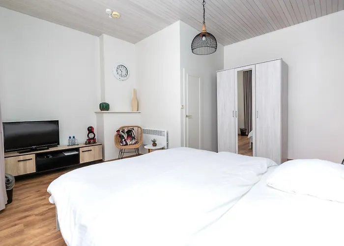 De Zonnetuin 4* De Haan